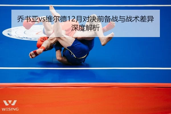 乔书亚vs维尔德12月对决前备战与战术差异深度解析