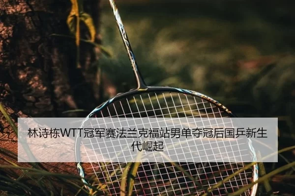lin-shi-dong-guan-jun-sai-fa-lan-ke-fu-zhan-nan-dan-duo-guan-hou-guo-ping-xin-sheng-dai-jue-qi-2-325.jpg